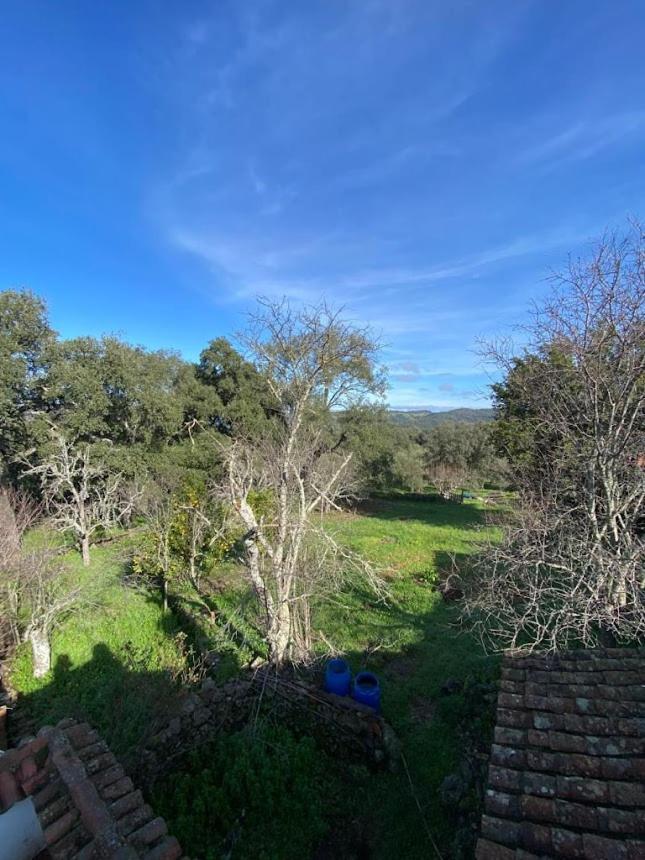 Espaciosa Y Elegante Casa Rural En Los Marines ภายนอก รูปภาพ